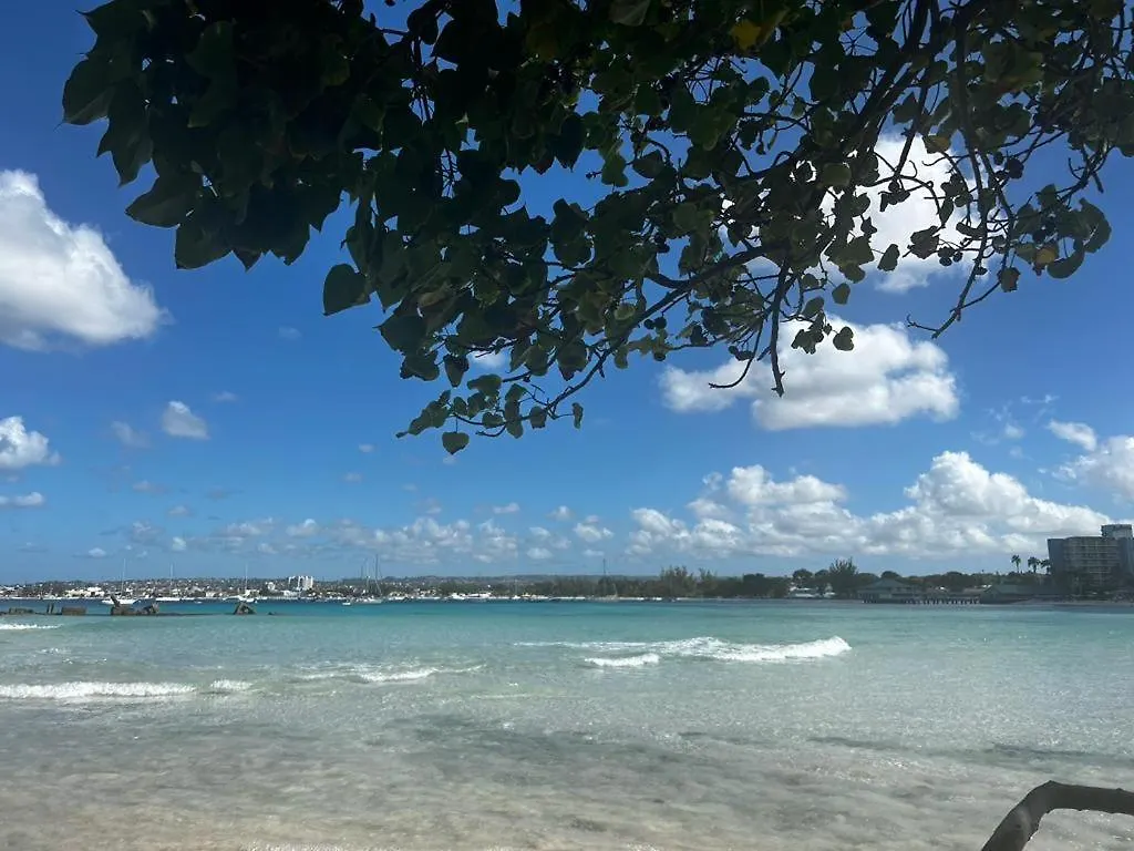 Mel'S Art Place By Coastal View7 Christ Church 0*,  Barbados